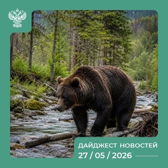 Самые интересные события России на 27.05.2026 💬
