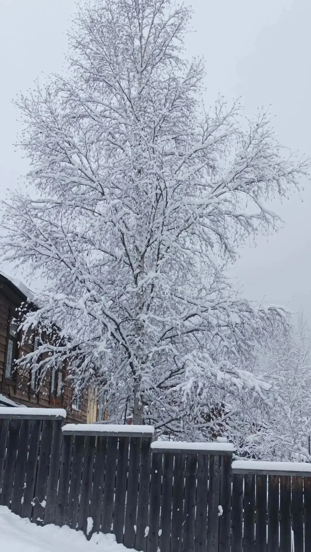 ❄️ Села в Эвенкии засыпало первым снегом