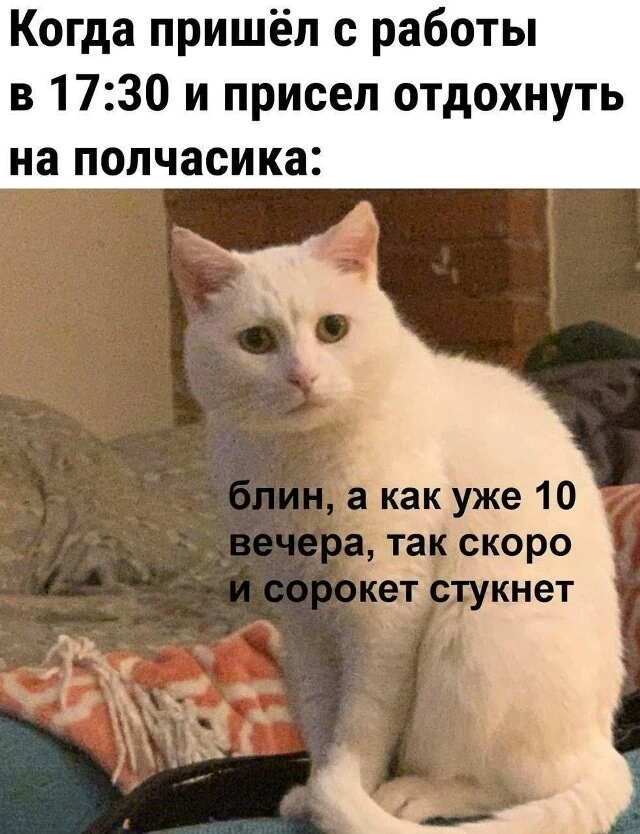 Кто-то может прийти с работы в 17-30⁠