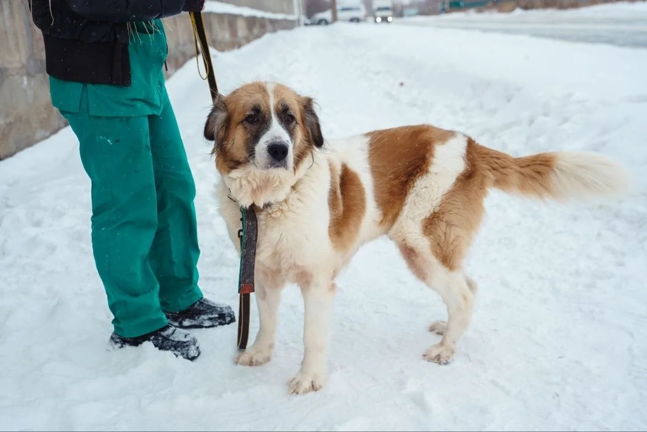Она победила болезнь! Остался один шаг к счастью... 🥺❤️  Иногда одна остановка на дороге меняет всё.