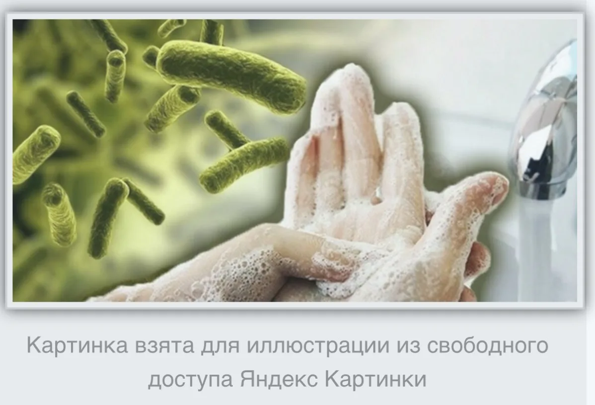 🌞Лето – активное время для всего живого и раздолье для острых кишечных инфекций, которые могут испо