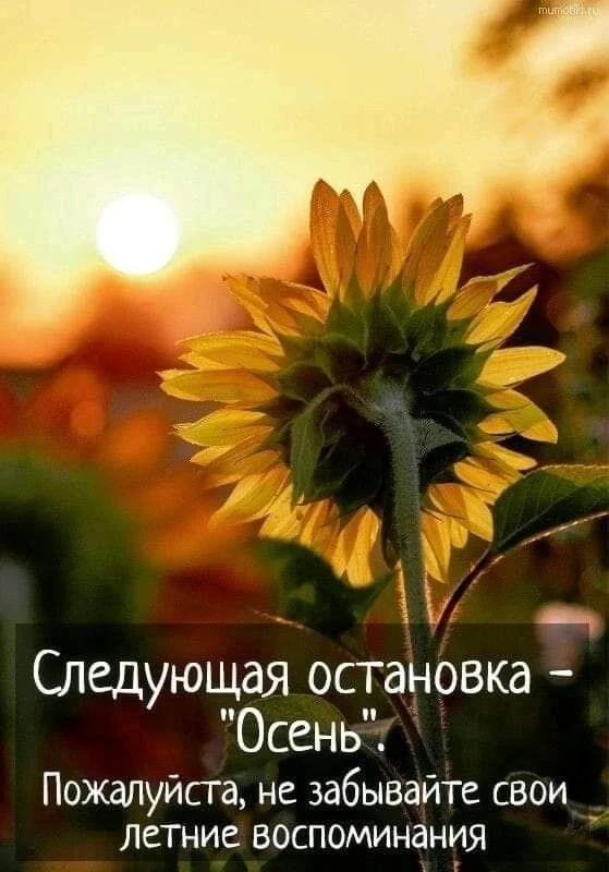 Доброго, пока еще летнего понедельника, дорогие коллеги☀️