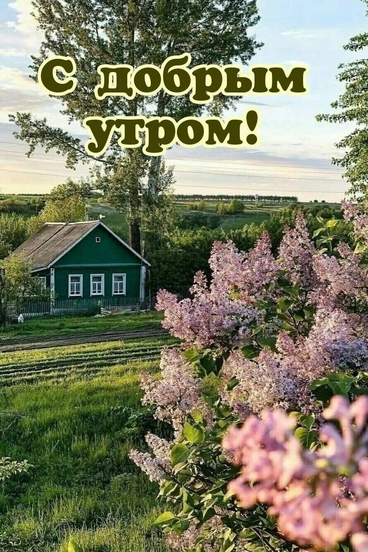 С добрым утром