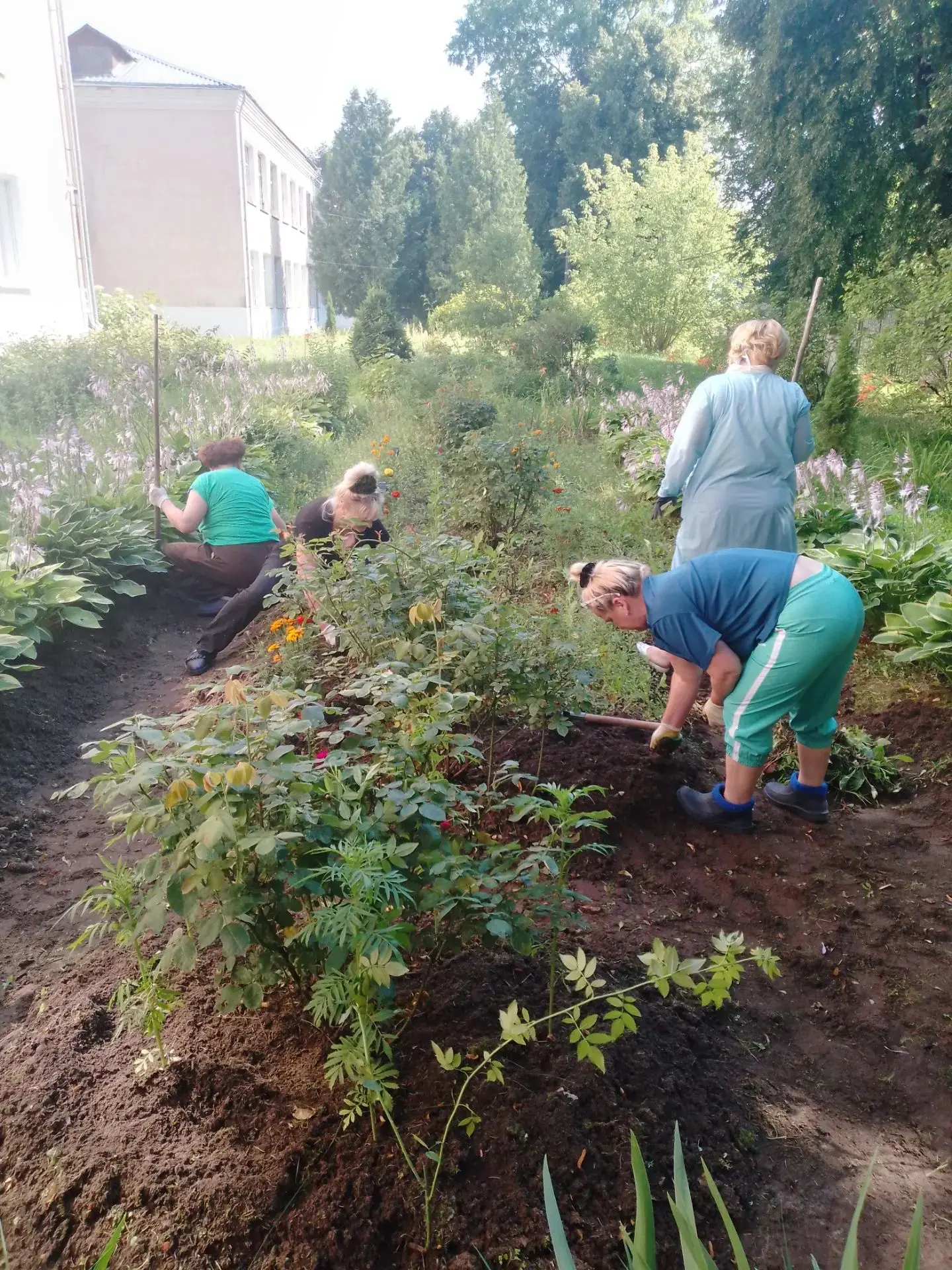 Школьная территория в фокусе 🌸
Лето полностью вступило в свои права! Всё вокруг цветёт и благоухает