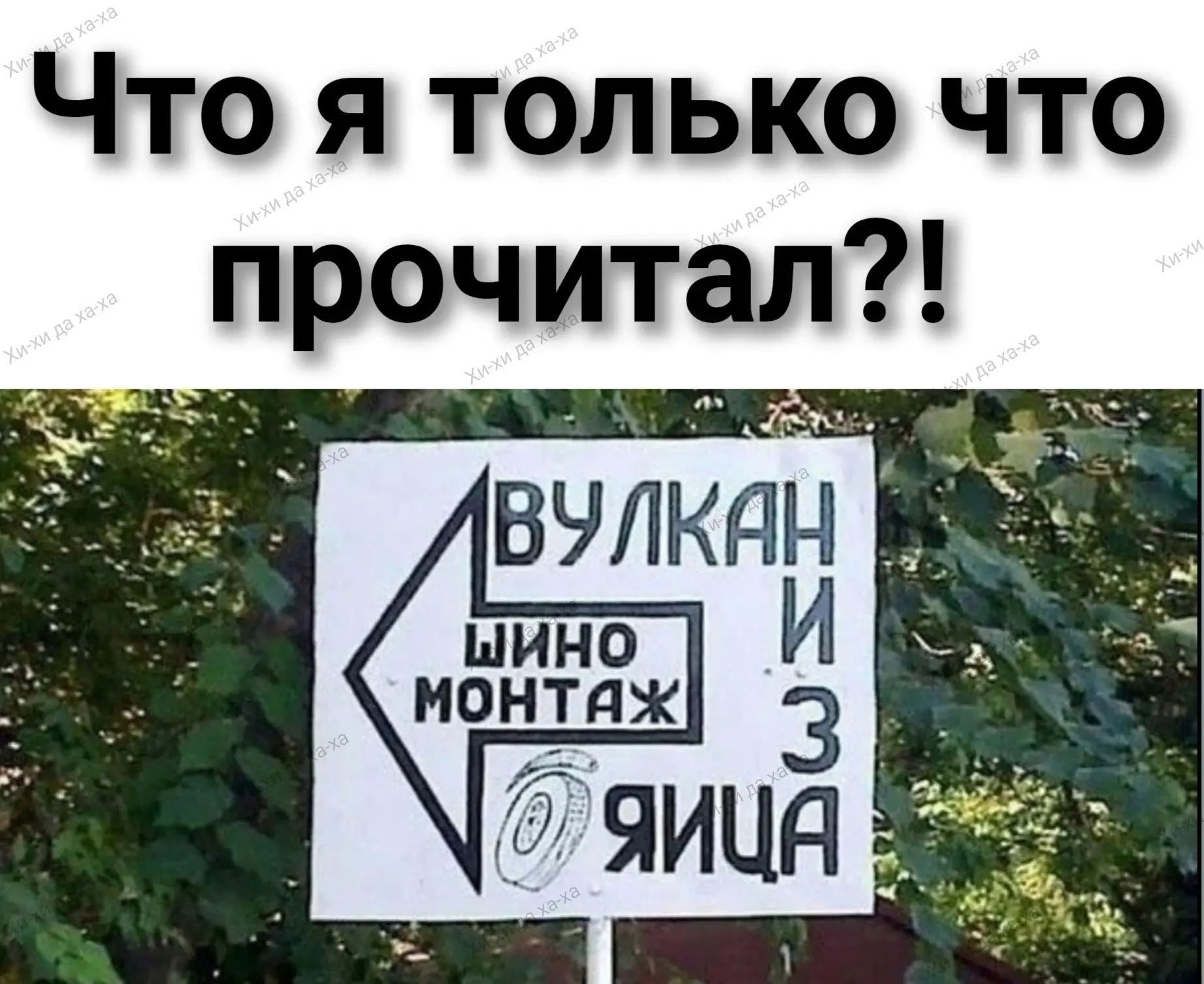 🤔😂