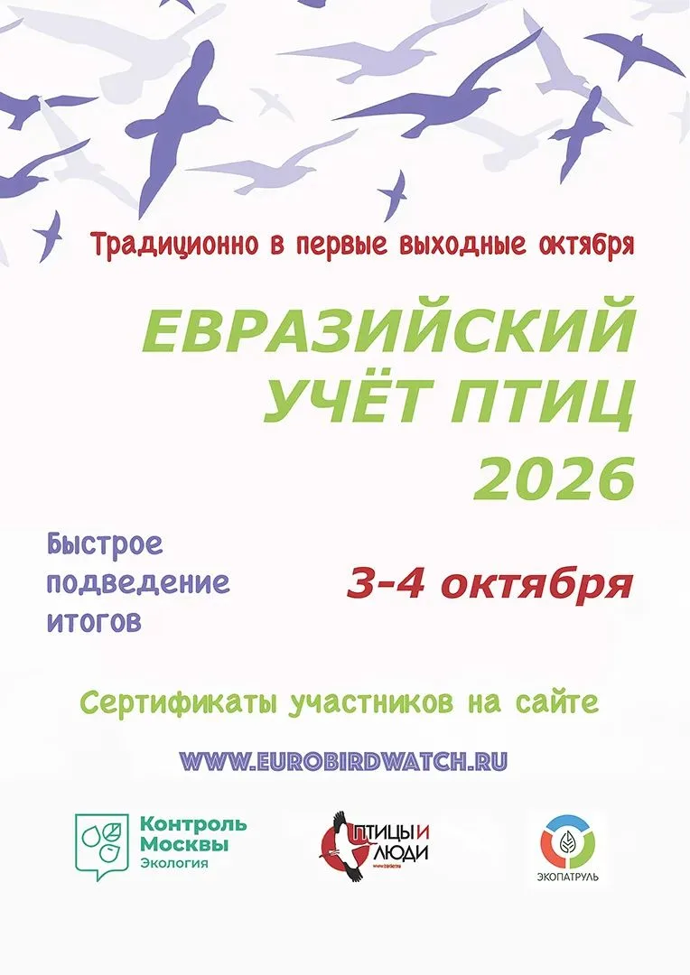 Приглашаем Вас присоединиться к Международным Евразийским учетам птиц 2026🦆
