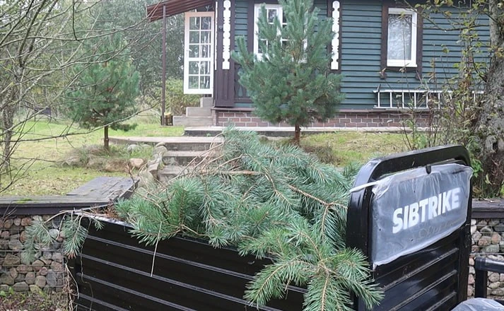 Обрезал нижние ветки у сосен и на самом участке) Теперь их не обломает снегом зимой и к...