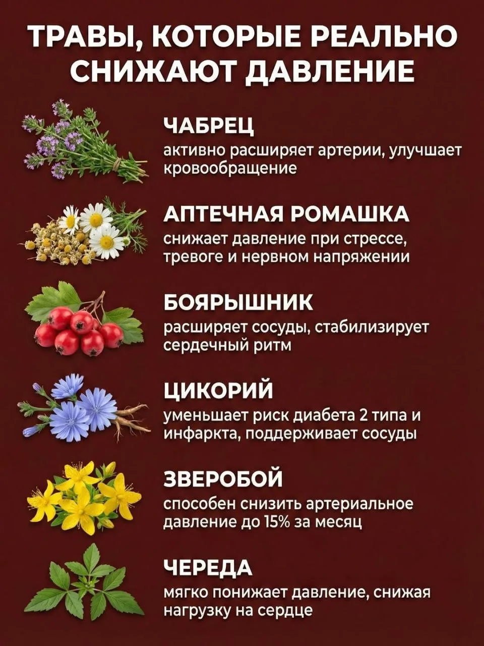🌿 Травы, которые реально снижают давление

Высокое давление — проблема, с которой сталкиваются мног