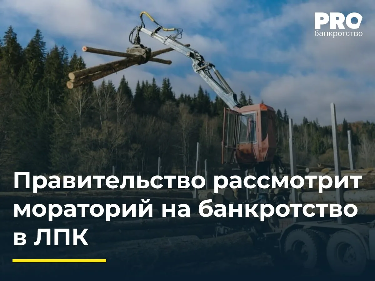 Правительство рассмотрит мораторий на банкротство в ЛПК