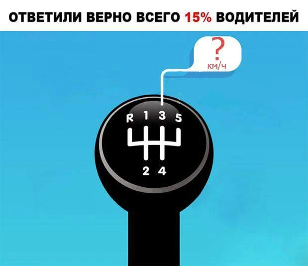 Изображение 1 к публикации «Моя дача»