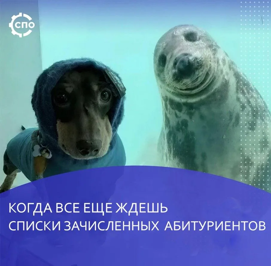 Зачисленные в |Горно-Алтайский политехнический колледж, уже пора настраиваться на учебу!