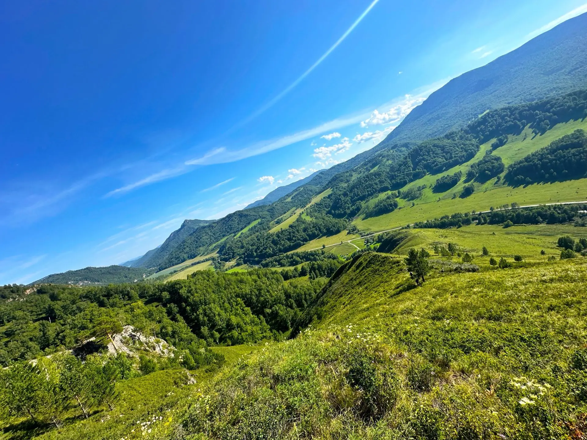День географа на Алтае: исследовать, путешествовать, сохранять! 🌲🗺️