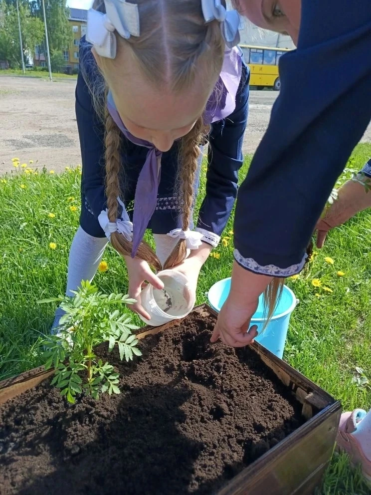 🌺Благоустройство лицейского двора: совместными усилиями создаём красоту