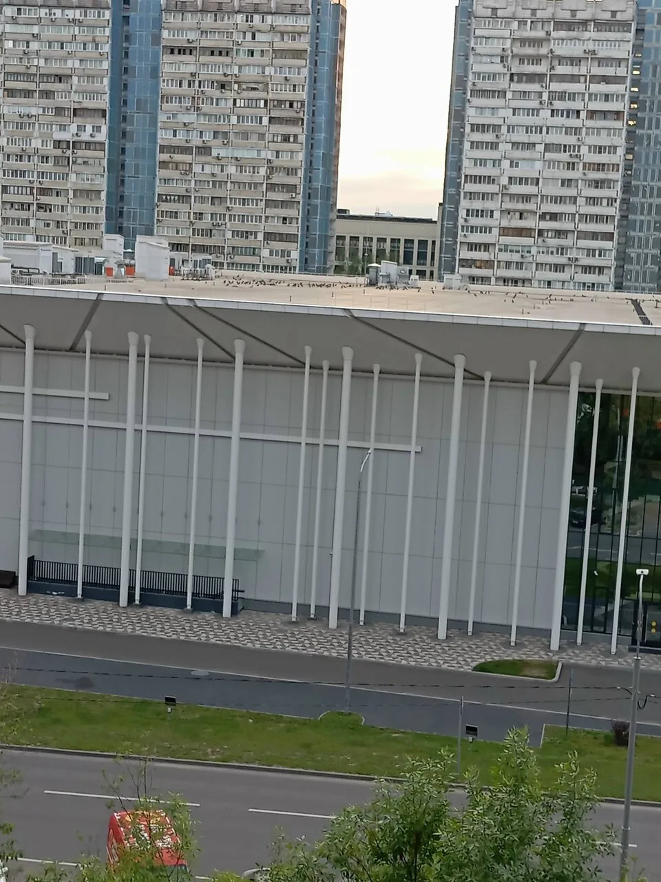 На крыше Ледового вороны общее собрание организовывают)