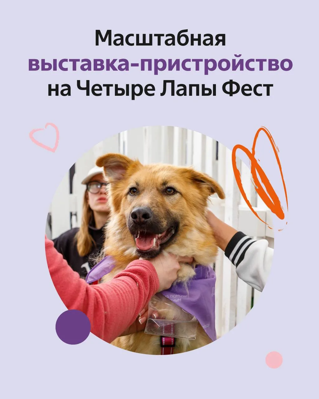 Найдите своего верного друга среди тех, кто ждёт❤️