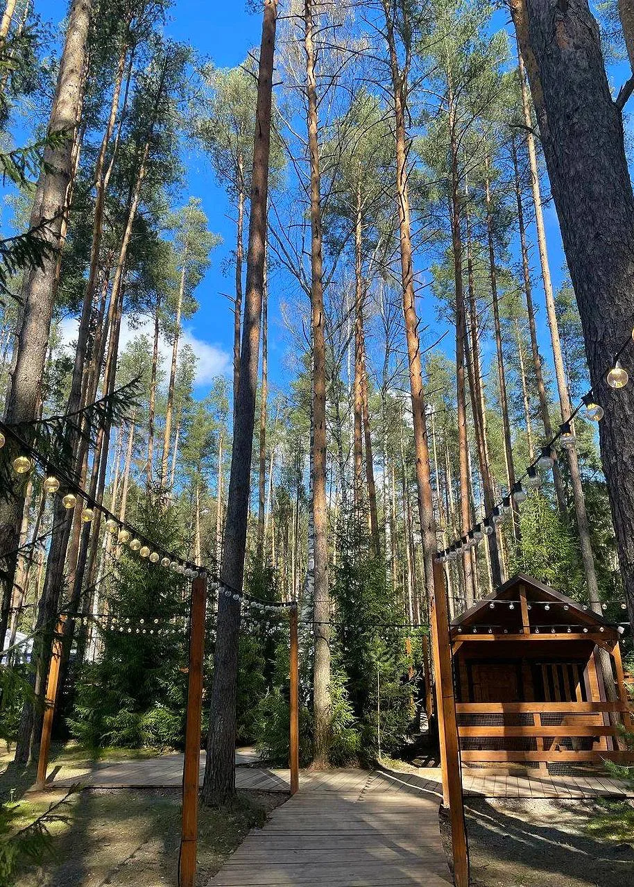 Парк с милыми альпаками🦙  🗓 Пн-Вс 11:00-21:00 📍 ЛО, деревня Мистолово, курорт Охта Парк  💵 от 1200 ₽