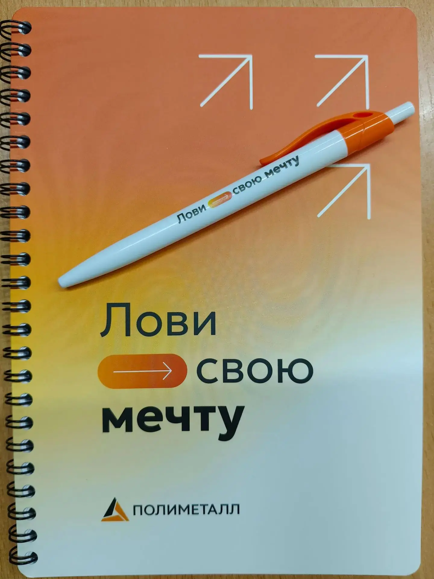 Компания «Полиметалл» ведет масштабную золотодобычу в районе имени Полины Осипенко Хаба...