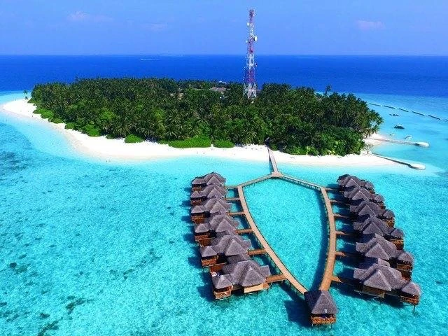 Туры на Мальдивы в классный популярный отель Fihalhohi Maldives с 3-х разовым питанием ...