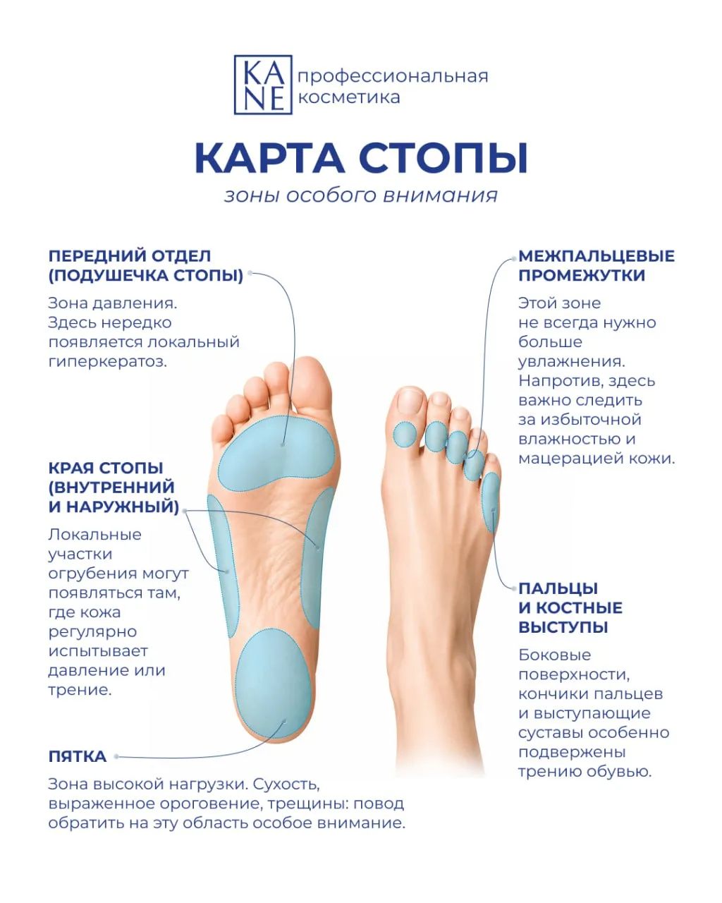 "Читаем" стопу по зонам 🦶🏻🔎