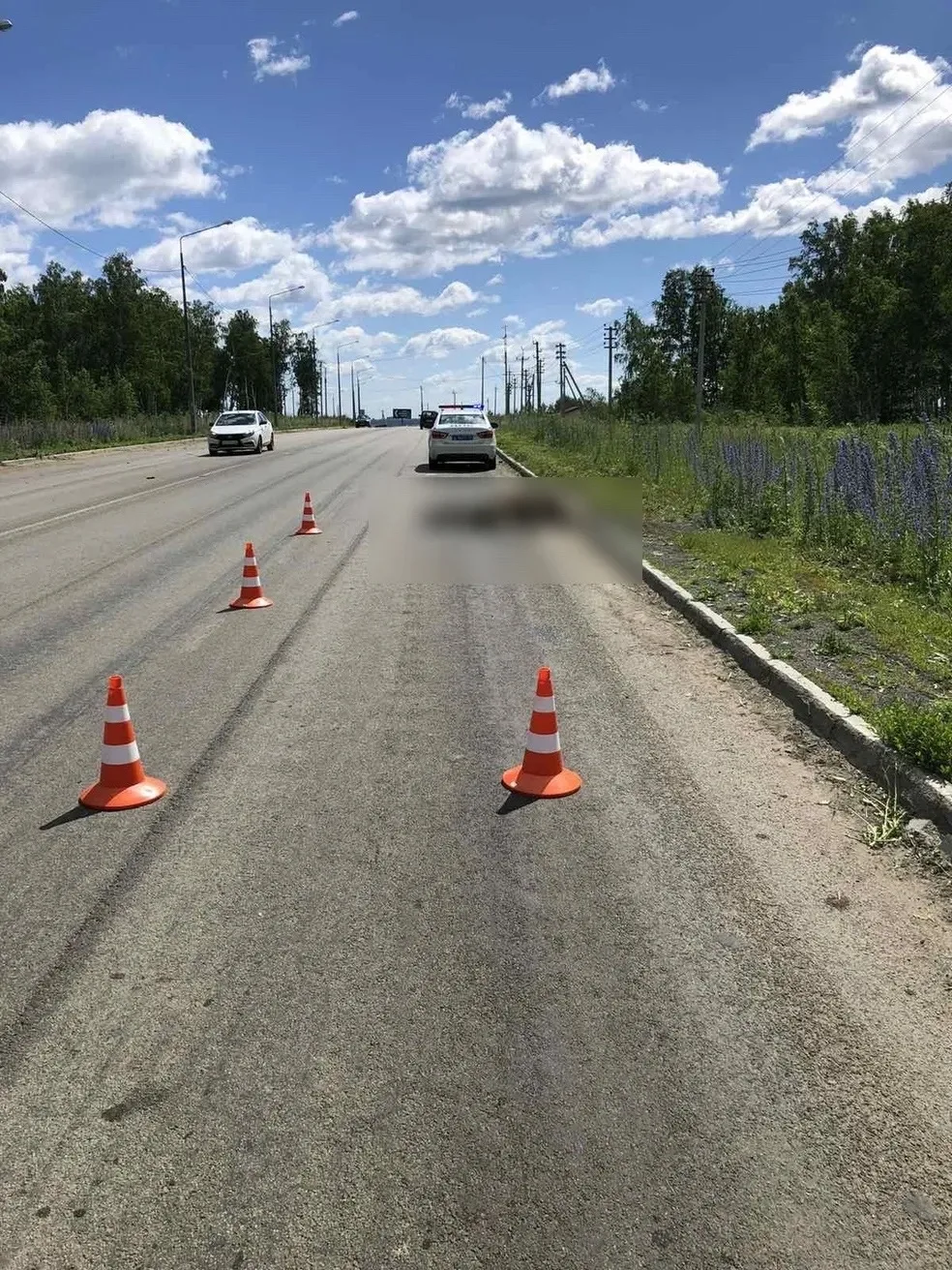 Один человек погиб и двое пострадали в результате аварии из-за выбежавшего на дорогу лося в Волховск