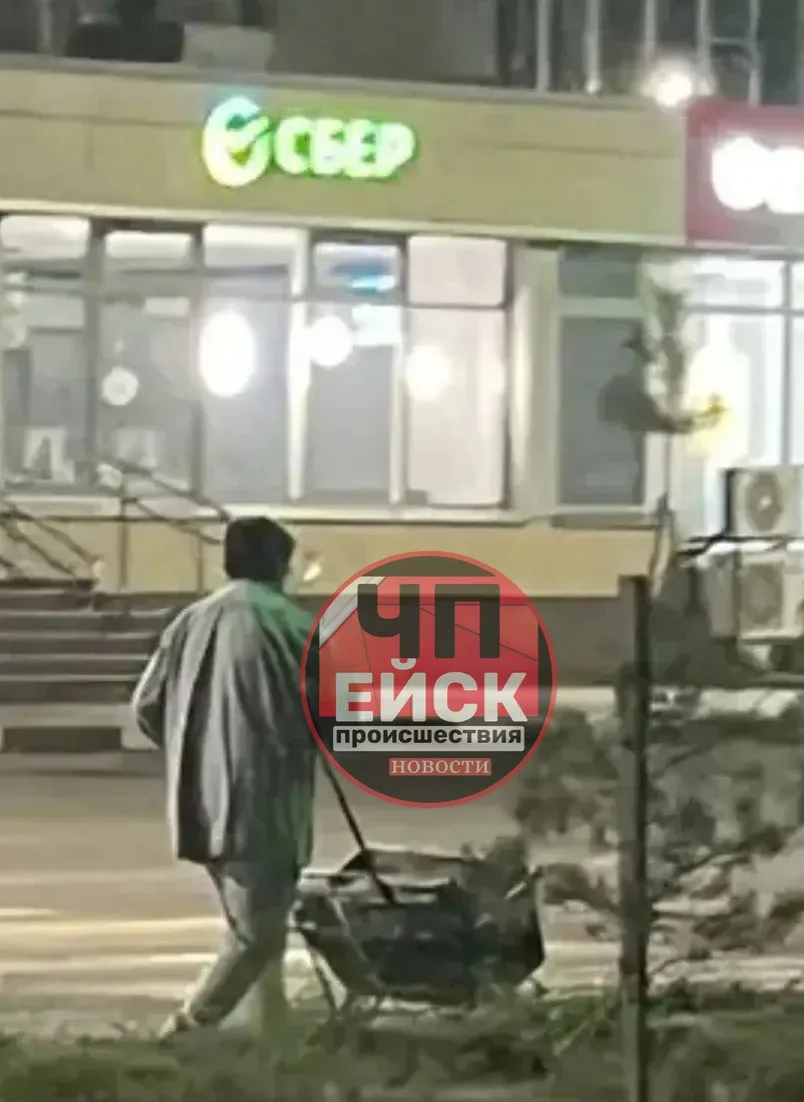 Очень активная местная старушка, вместо того чтобы спать по ночам, занялась кражей горо...