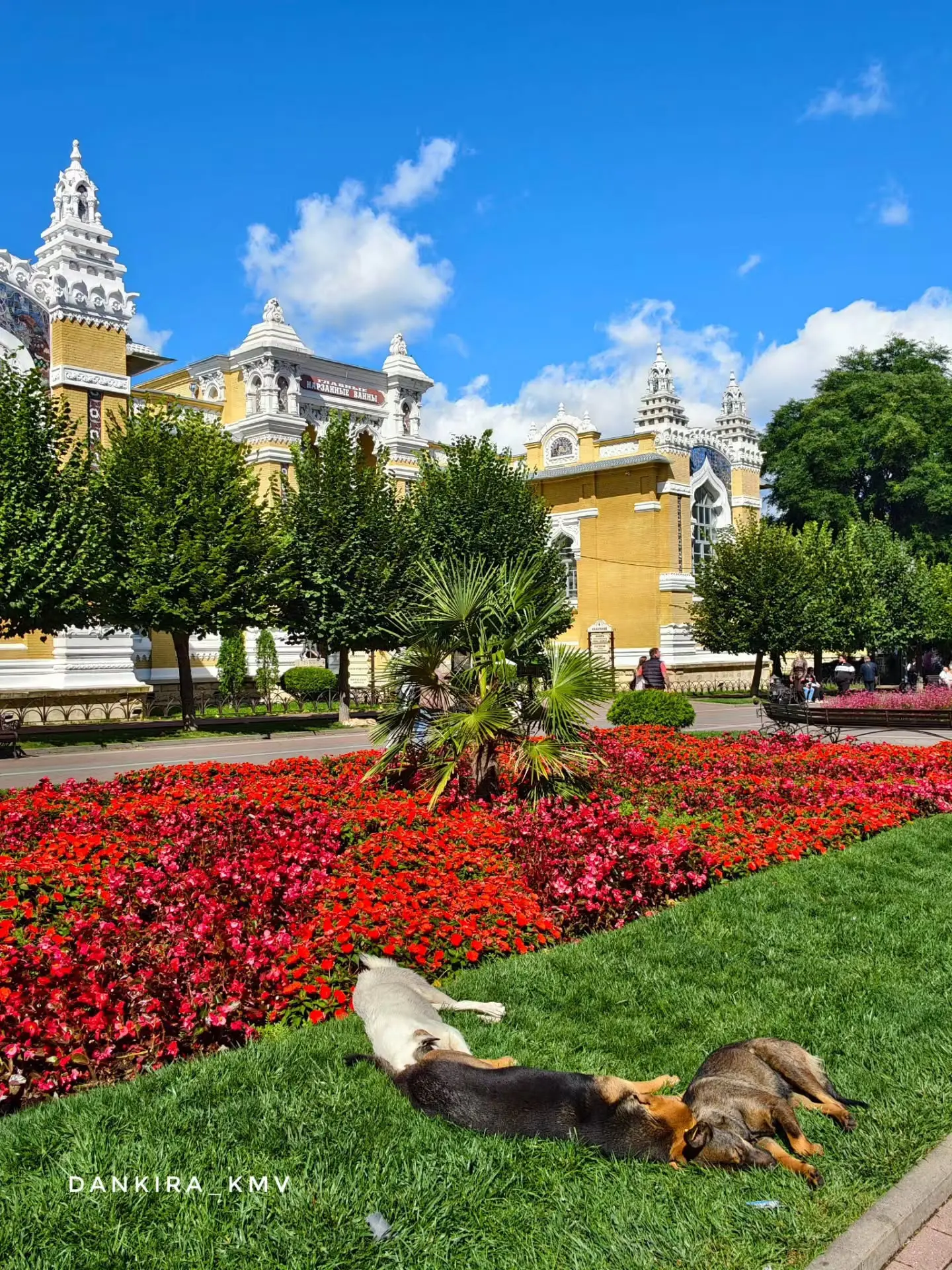 Наслаждение Кисловодском в фото от Данкира КМВ ✨😌
