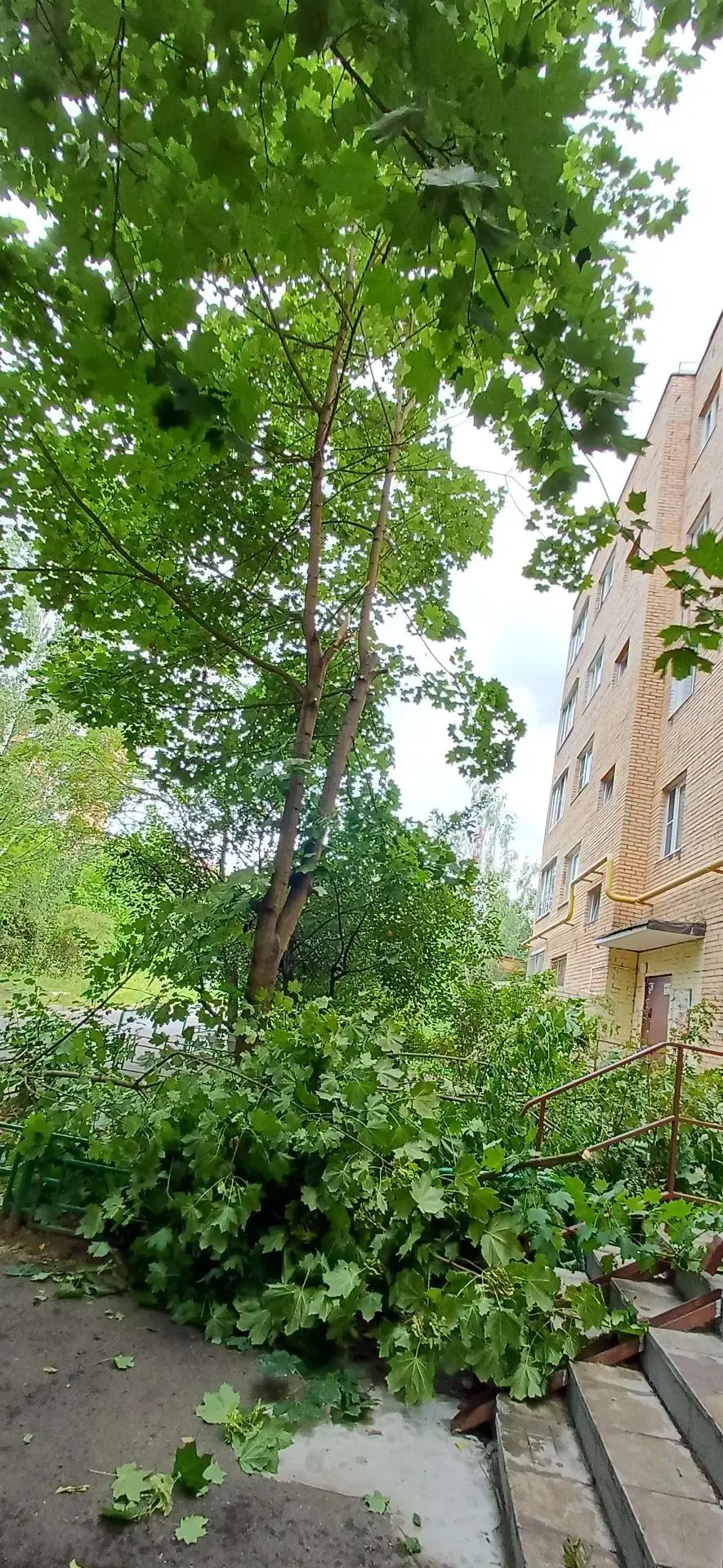 Ул.Красноармейская,  д.50,51.