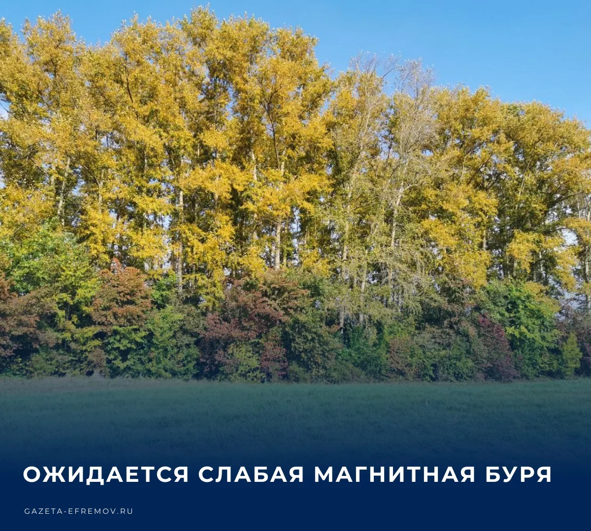 🌤️ Сегодня в Ефремове облачно с прояснениями, температура воздуха составит +12 … +16 °С.​