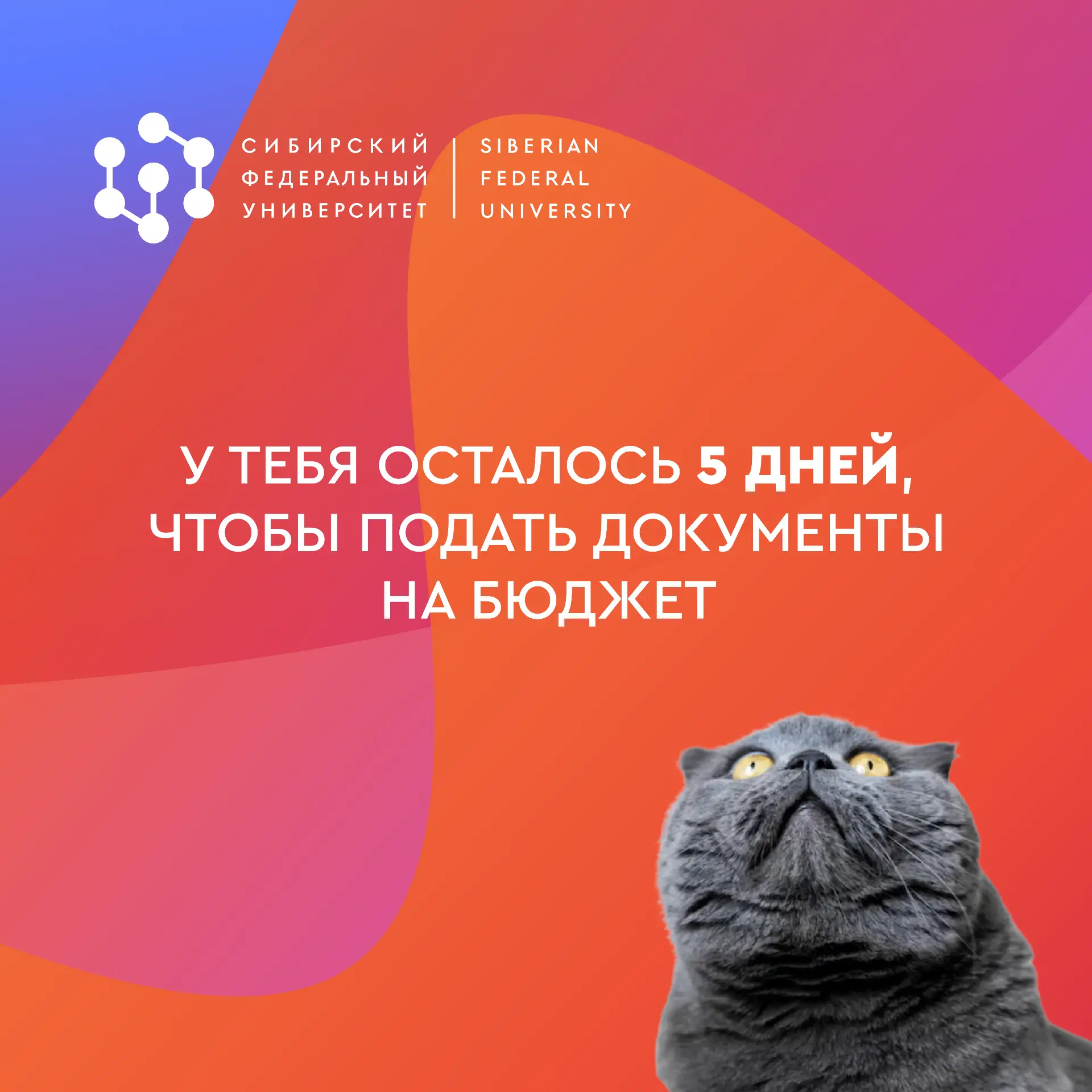 Поступаешь в Сибирский федеральный на бюджетные места по результатам ЕГЭ? Тогда не пропусти свой дед