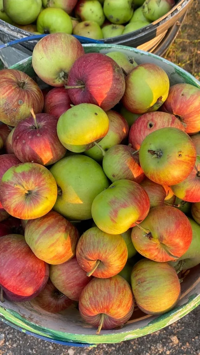 2 дня готовим вместе🍏