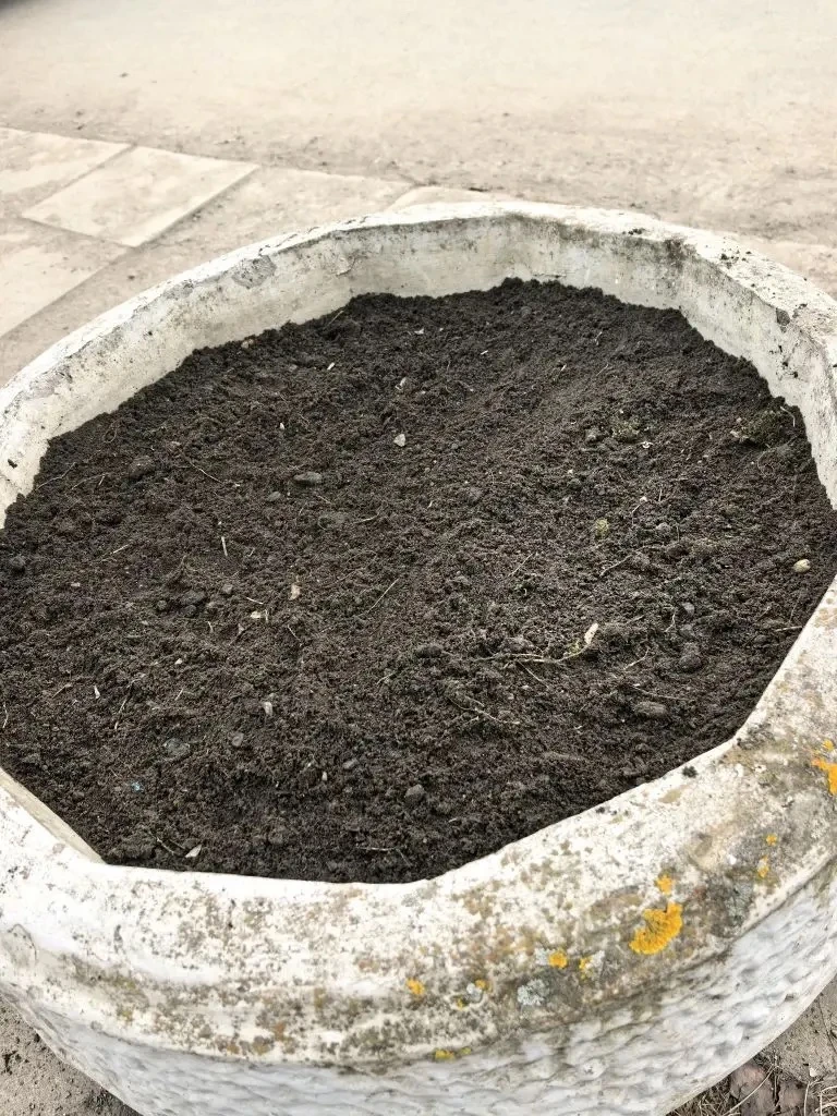 🌸 Делаем город чище!