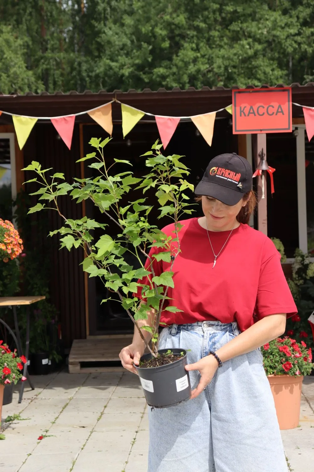 Желто-оранжево-красный вариант был очень хорош ⛳️ но не хочется повторяться 😎  Выбрали на этот сезон