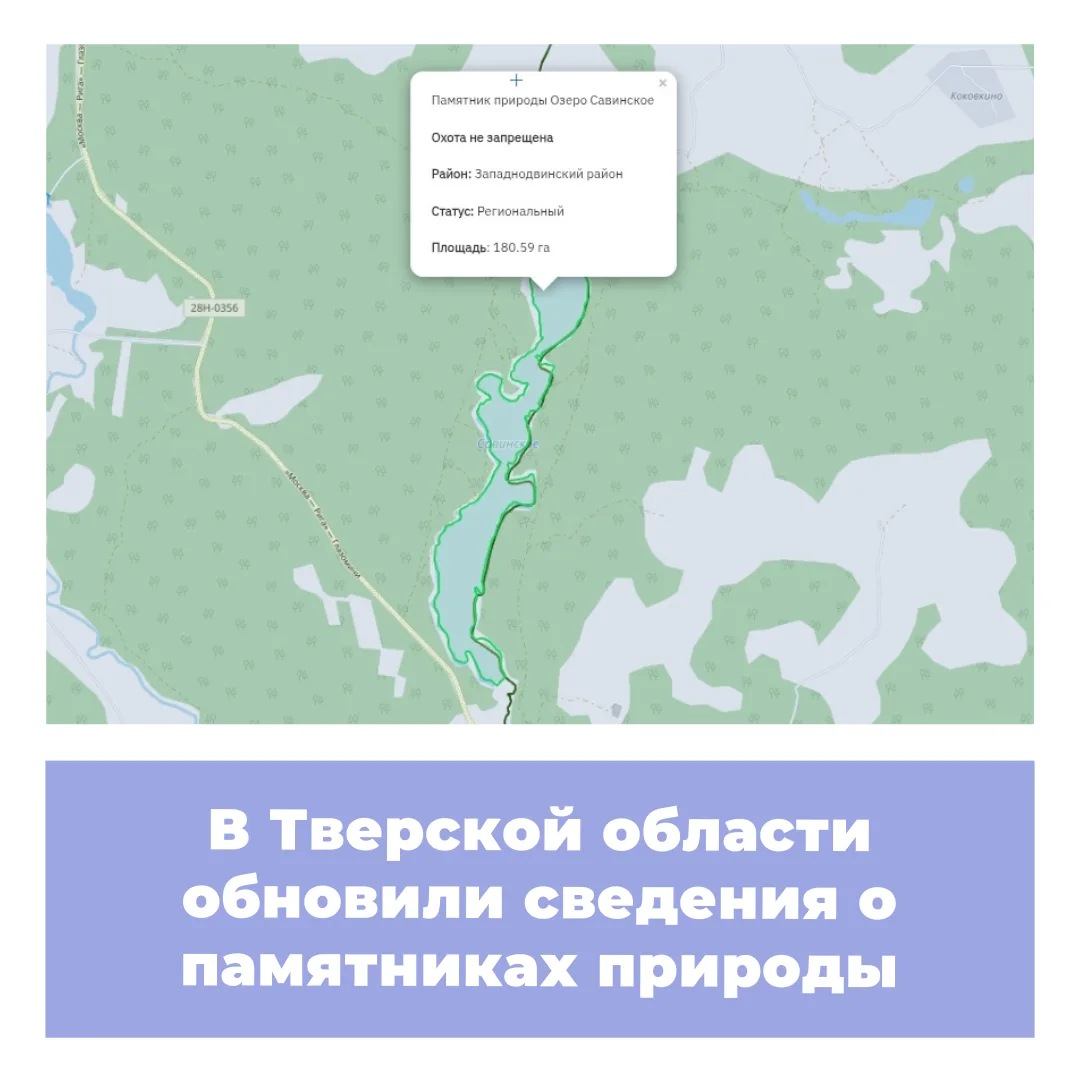 Постановлением Правительства Тверской области от 31.07.2026 № 432-пп утвержден новый па...