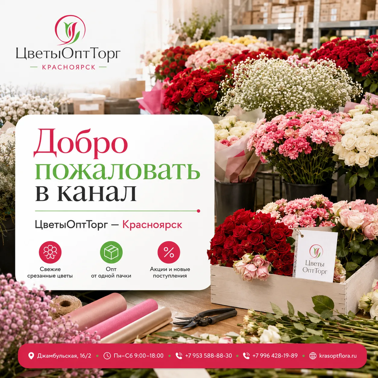 🌸 Добро пожаловать в канал «ЦветыОптТорг — Красноярск»!