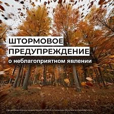 ЭКСТРЕННОЕ ПРЕДУПРЕЖДЕНИЕ