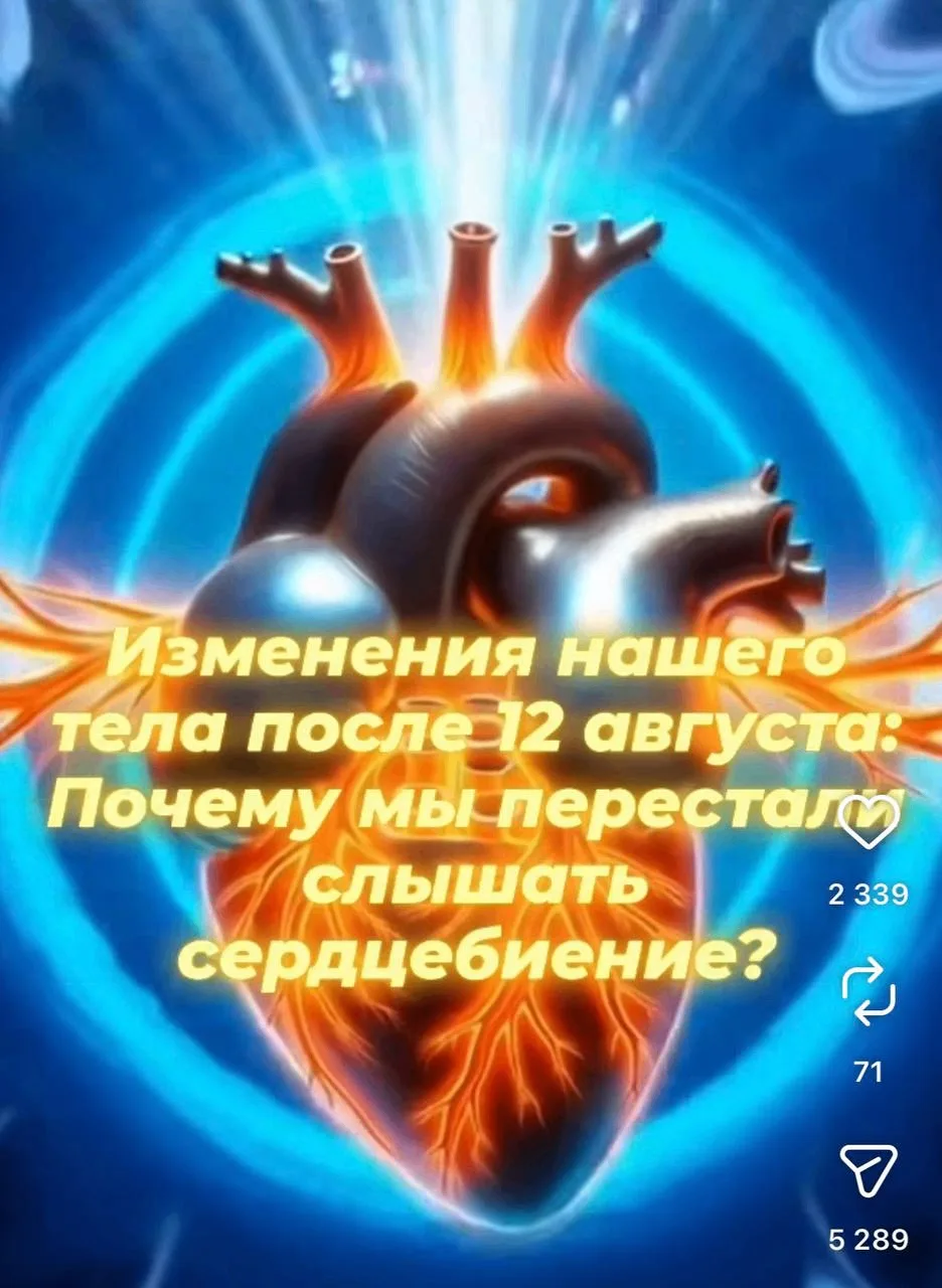 МОЙ ШОК В ШОКЕ