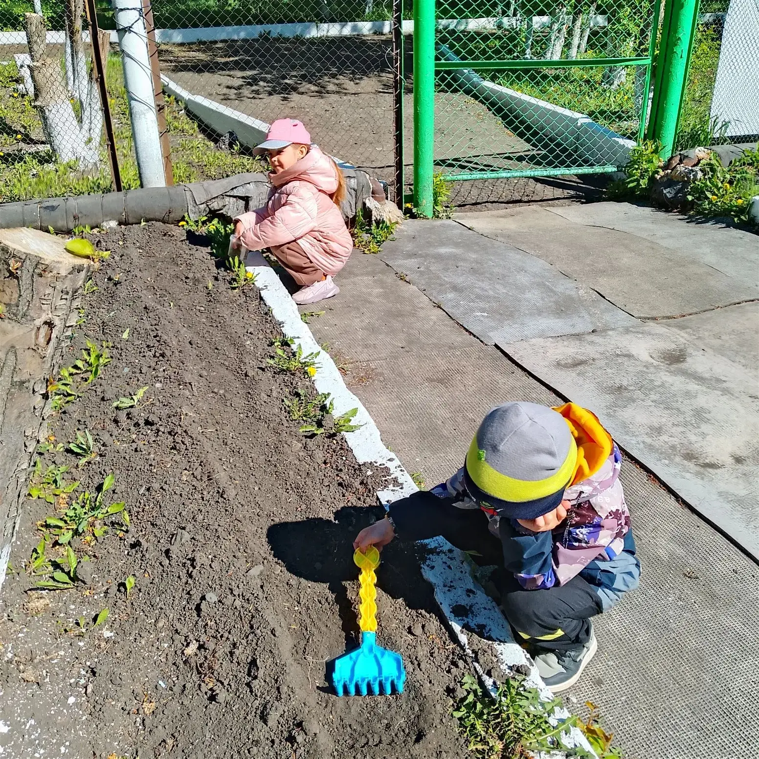 🌱В нашем детском саду прошла замечательная акция «Посади петунию» и не только!