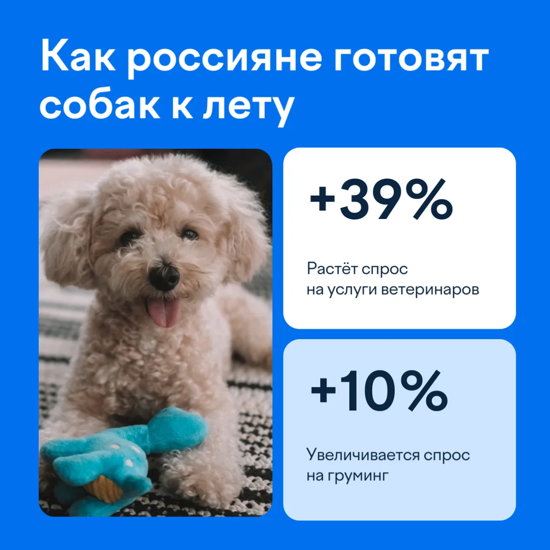 Для любимого Дружка: сколько россияне тратят на собак 🔍

Совместное исследование ЮKassa и «Чек Инде