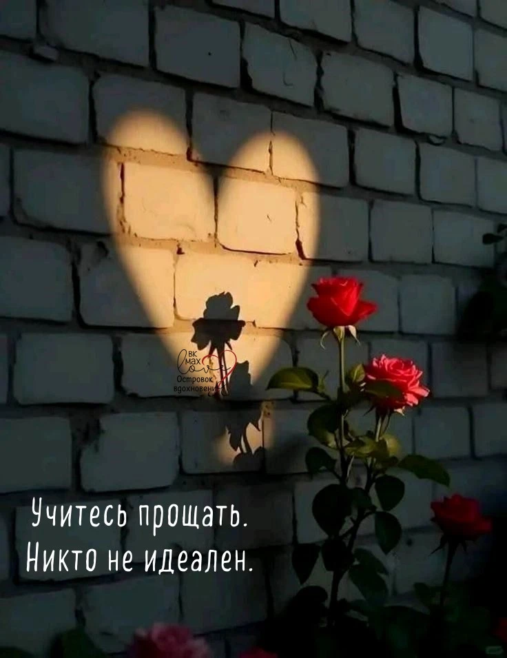 Каждую ночь, перед сном прости всех и спи с чистым сердцем.