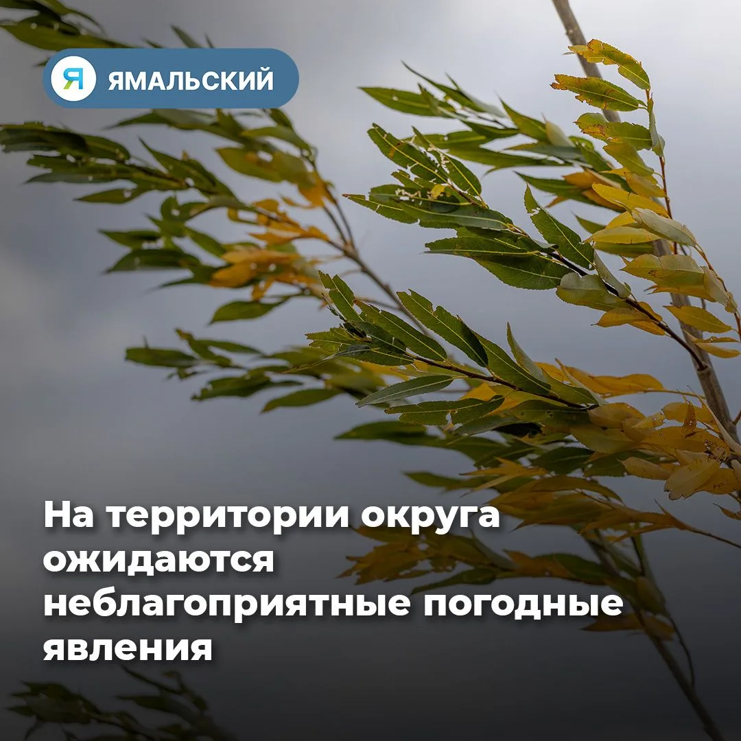 Синоптики предупреждают❗