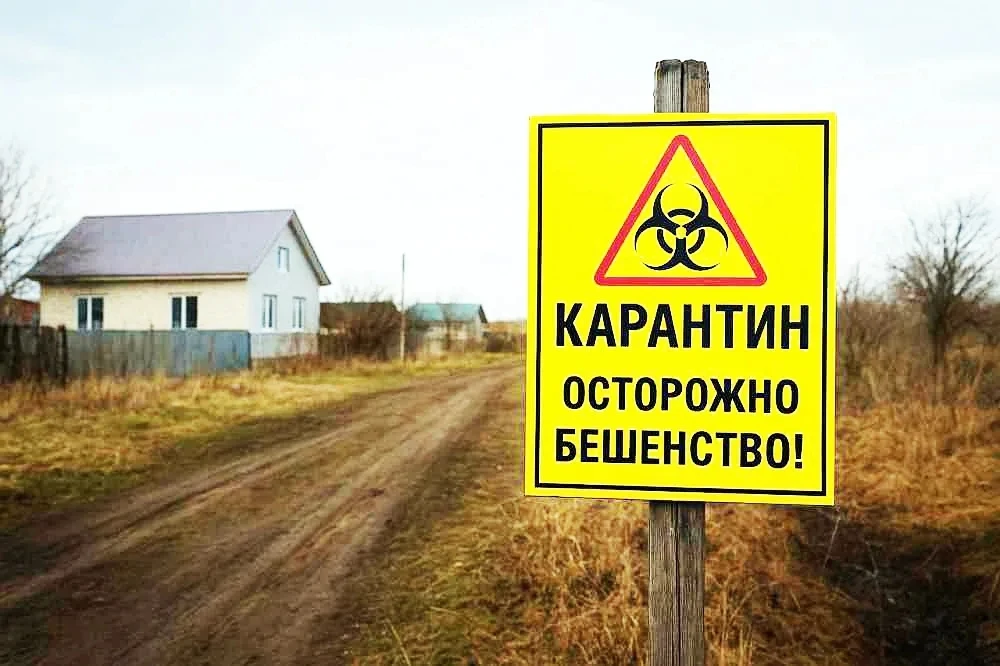 В подмосковном Подольске ввели карантин по бешенству животных, — сообщается в постановл...