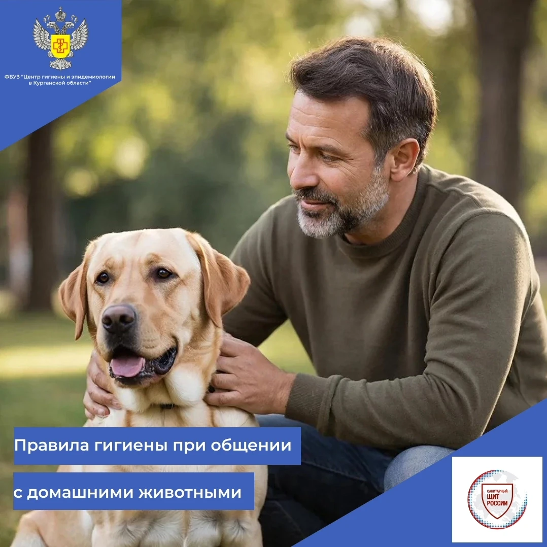 📍Правила гигиены при общении с домашними животными🐕