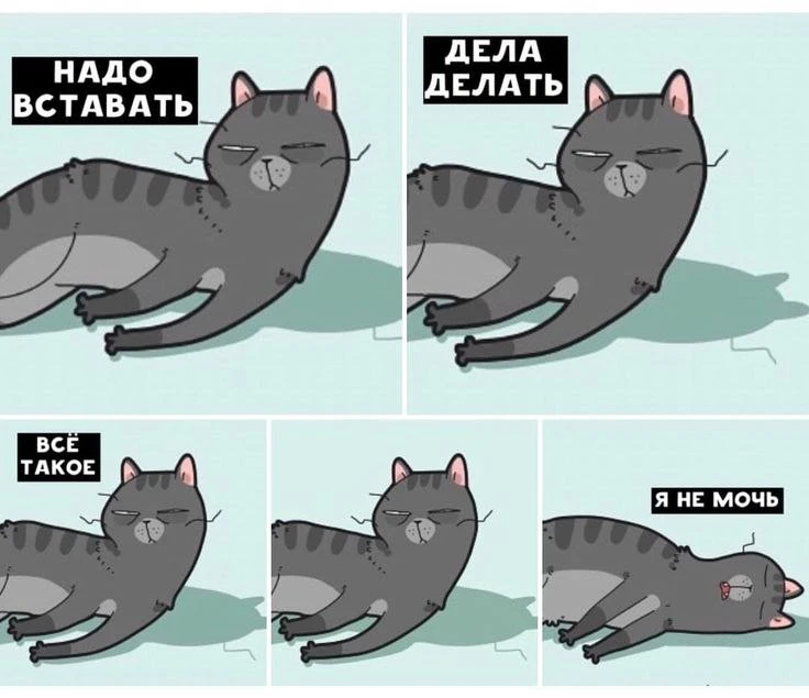Открытки любимым 🌸🥰