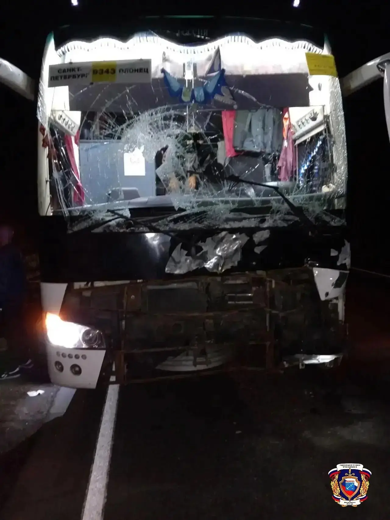 Автобус с пассажирами сбил лося на трассе в Ленобласти
