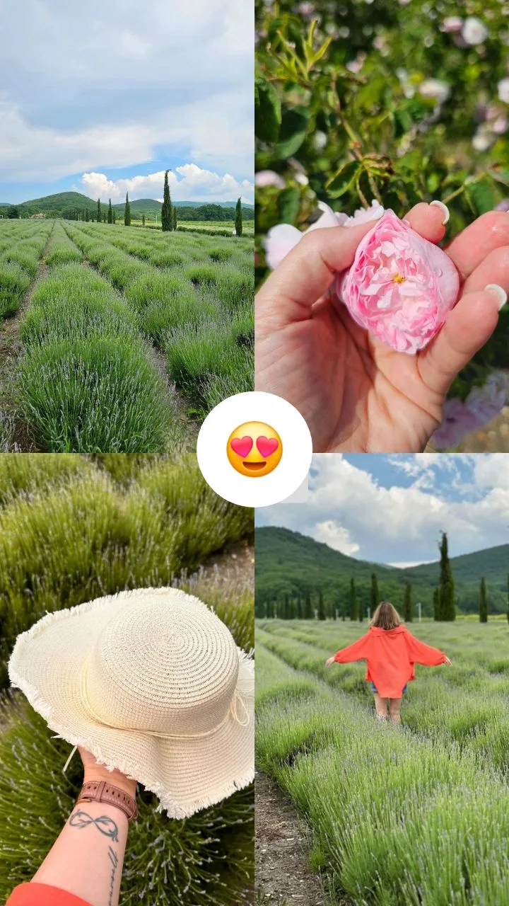 Сегодня было красиво ❤️