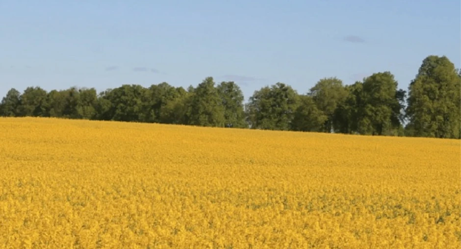 В Алтайском крае Россельхознадзор усилил контроль за соблюдением предприятиями региона, экспортирующ