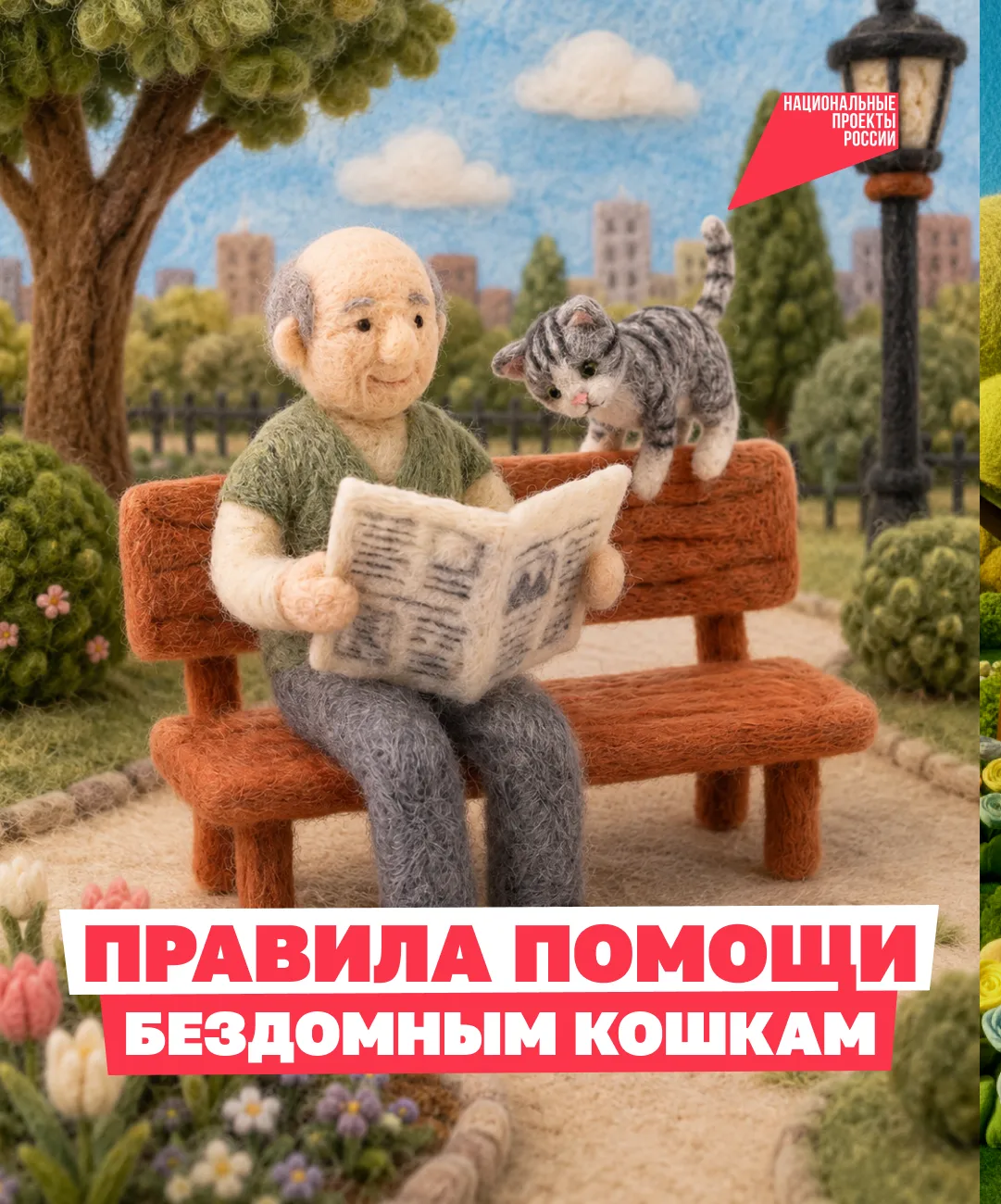 Как правильно помочь бездомному котику 🐱