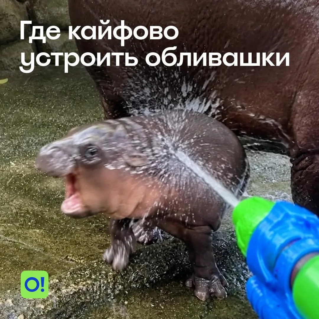 Это мы спасаемся от жары на классных городских фестивалях по всему миру!

От Армении до Азии — в раз