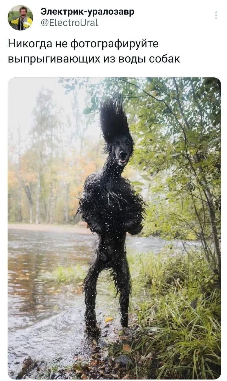 Совет от профессионалов ☝️