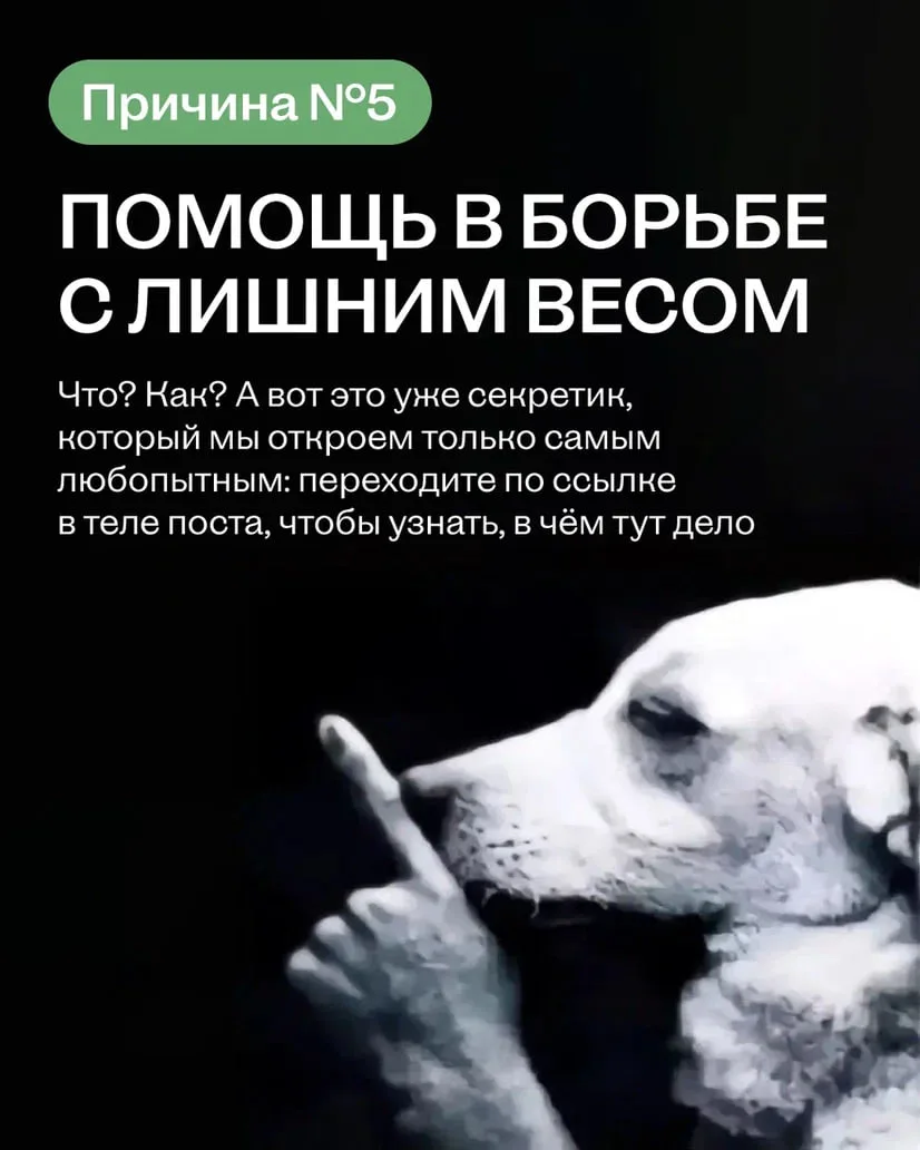 Квашеная капуста — это вау ✨  Не дайте котикам и собачкам с картинок себя обмануть: их кормить капус